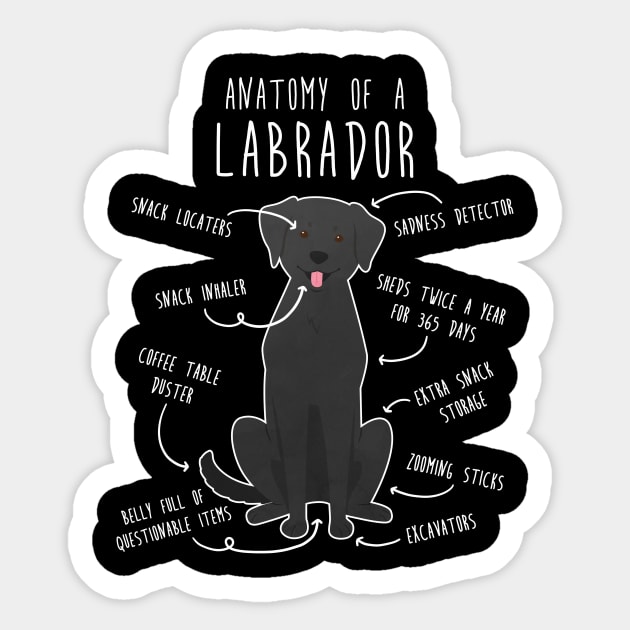 Black lab items sales